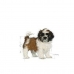 Futter Royal Canin Shih Tzu Puppy Welpe/Junior Huhn Pflanzlich 500 g