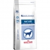 Nutreț Royal Canin Senior Consult Mature Large 14 Kg Senior Pui Porumb Păsări Porc