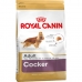 Fodder Royal Canin Cocker Adult Adult Chicken Rice Corn Birds 12 kg