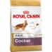 Krma Royal Canin Cocker Adult 12 kg Odrasla osoba Kukuruz ptice