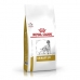 Fôr Royal Canin Urinary Voksen Fugler 2 Kg