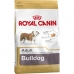 Fodder Royal Canin Bulldog Adult Adult Chicken Meat Rice Birds 12 kg