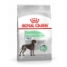 Hundefutter Royal Canin Maxi Digestive Care 12 kg Erwachsener Vögel