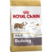 Fodder Royal Canin Bulldog Adult Adult Chicken Meat Rice Birds 12 kg