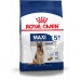 Fodder Royal Canin Maxi Adult 5+ Adult Chicken Rice Birds 15 kg