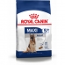 Fodder Royal Canin Maxi Adult 5+ Adult Chicken Rice Birds 15 kg