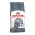 Kissanruoka Royal Canin Oral Care Aikuinen 1,5 Kg