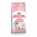 Cibo per gatti Royal Canin Kitten Uccelli 4 Kg