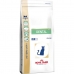 Kattemat Royal Canin Dental Voksen Mais Fugler 1,5 Kg