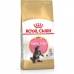 Kačių maistas Royal Canin Maine Coon Kitten Višta Paukščiai 4 Kg