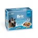 Aliments pour chat Brit Pouch Gravy Thon Dinde Veau 12 x 85 g