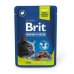 Aliments pour chat Brit Premium Agneau 100 g