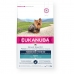 Píce Eukanuba Breed Specific Dospělý Kuře 2 Kg