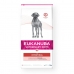 Фураж Eukanuba Veterinary Diet Intestinal Для взрослых Курица 12 kg