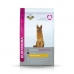 Foder Eukanuba Breed Specific Voksen Kylling 12 kg