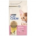 Jídlo pro kočku Purina Cat Chow Kitten Kuře 1,5 Kg