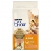 Kissanruoka Purina Cat Chow Aikuinen Ankka 15 kg