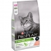 Cat food Purina 7613036517164 Adult Salmon 10 kg