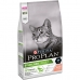 Comida para gato Purina 7613036517164 Adulto Salmón 10 kg