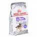 Fodder Royal Canin Mini Sterilised Adult Chicken 1 kg