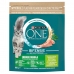 Kassitoit Purina One Bifensis Adult Indoor Täiskasvanu Türgi 800 g