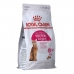 Aliments pour chat Royal Canin Protein Exigent Adulte Oiseaux 400 g