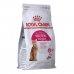 Mâncare pentru pisici Royal Canin Protein Exigent Adult Păsări 400 g