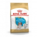 Φαγητό για ζώα Royal Canin Cavalier King Charles Spaniel Puppy Κουτάβι / Junior Πουλιά 1,5 Kg