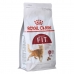 Kassitoit Royal Canin Regular Fit 32 Täiskasvanu Mais Linnud 400 g