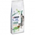 Kattmat Purina CAT CHOW STERILISED Vuxen Kyckling 1,5 Kg