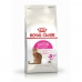 Kattemad Royal Canin Savour Exigent Voksen Majs Vegetabilsk Fugle 2 Kg