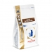 Kattemat Royal Canin Gastro Intestinal Voksen Fugler 400 g