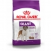 Фураж Royal Canin Giant Adult Для взрослых Курица птицы 15 kg