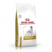 Fôr Royal Canin Urinary Voksen Fugler 13 kg