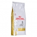 Krma Royal Canin Urinary Odrasli Ptice 13 kg