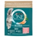 Aliments pour chat Purina One Bifensis Adult Adulte Saumon 800 g