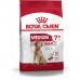 Foder Royal Canin Medium Ældre Kylling Ris Fugle 15 kg