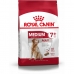 Nourriture Royal Canin Medium Senior Riz Oiseaux 15 kg