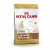 Fodder Royal Canin Labrador Retriever Junior Kid/Junior Chicken Rice Corn Birds 12 kg