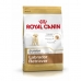 Fodder Royal Canin Labrador Retriever Junior Kid/Junior Chicken Rice Corn Birds 12 kg