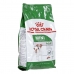 Penso Royal Canin Mini Adulto Pássaros 4 Kg