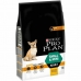 Foder Purina Small & Mini Vuxen Kyckling 7 kg