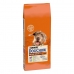 Φαγητό για ζώα Purina Dog Chow Mature Senior Ανώτερο Αρνί 14 Kg