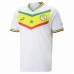 Heren Voetbal T-shirt met Korte Mouwen Puma Senegal Wit
