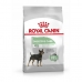 Fodder Royal Canin Mini Digestive Care Adult Birds 3 Kg