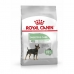 Voer Royal Canin Mini Digestive Care Volwassen 3 Kg