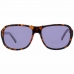 Gafas de Sol Mujer More & More 54332-740_braun-size60-16-130 ø 60 mm