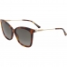 Solbriller til kvinder Jimmy Choo MACI-S-086 Ø 55 mm