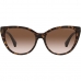 Lunettes de soleil Femme Emporio Armani EA 4162