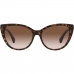 Óculos escuros femininos Emporio Armani EA 4162